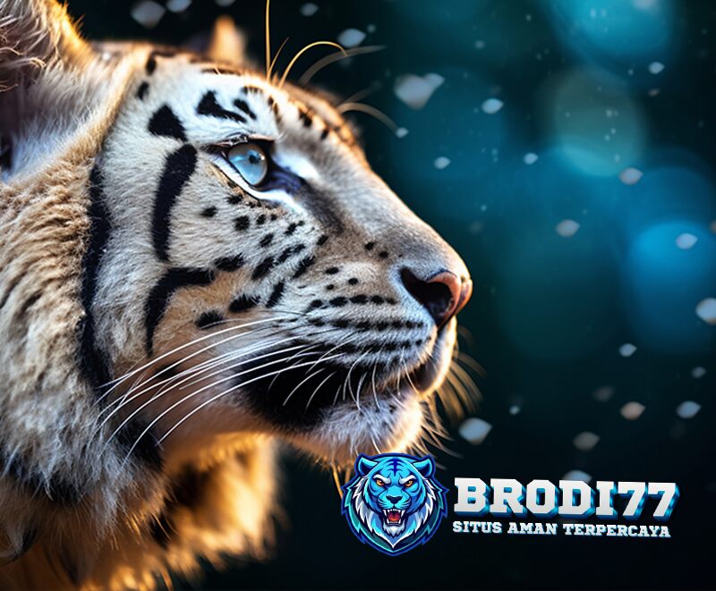Brodi77 Situs Alternatif